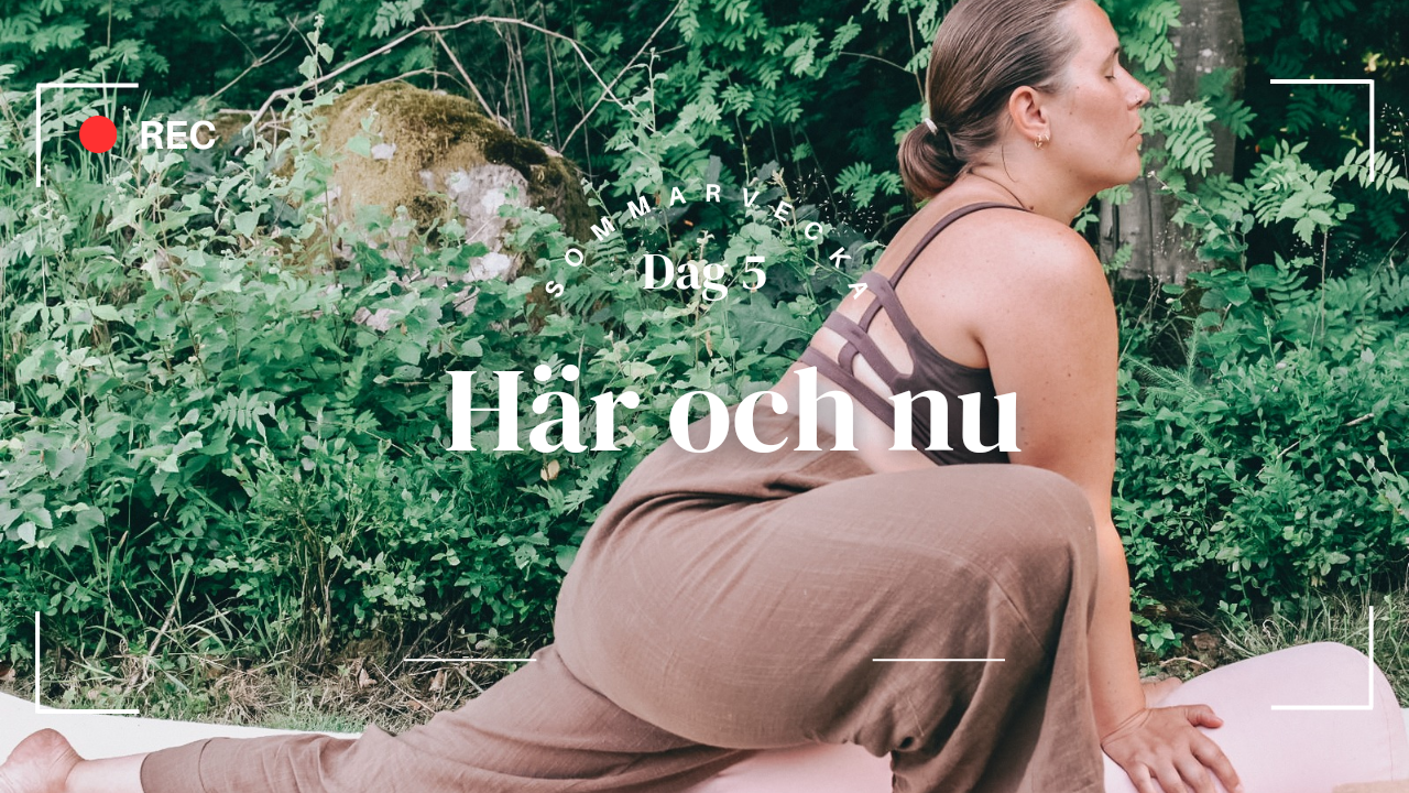 27 min - Dag 5. Yinyoga för Här och nu